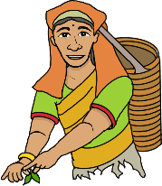 Up Country